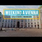 Cosa vedere e fare 4 giorni a vienna